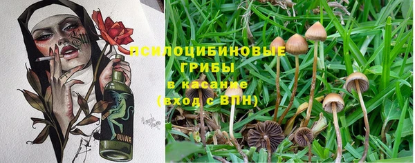 MDMA Premium VHQ Михайловск