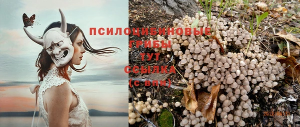 крисы Михайлов