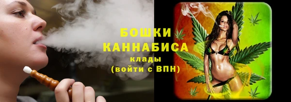 шишки Волоколамск