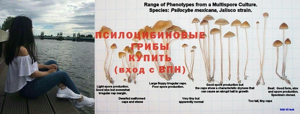 MDMA Premium VHQ Михайловск