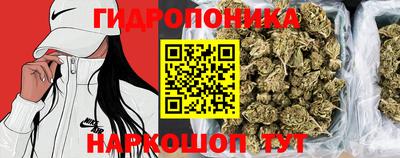 эйфоретик Балахна