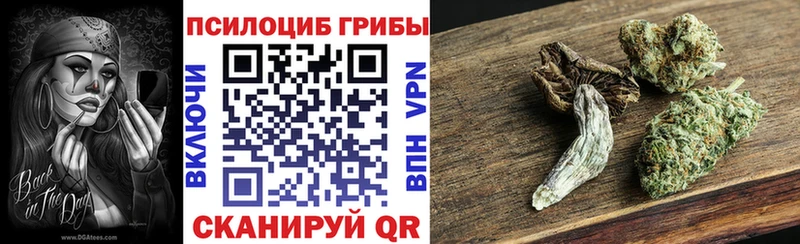 Галлюциногенные грибы Psilocybine cubensis  купить закладку  Приморско-Ахтарск 