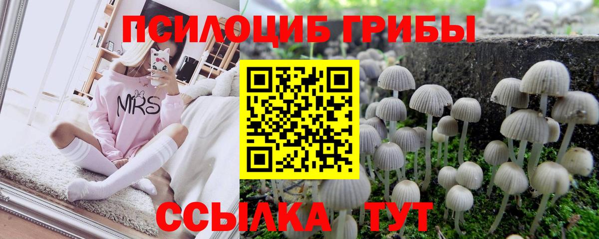 Галлюциногенные грибы ЛСД Приморско-Ахтарск